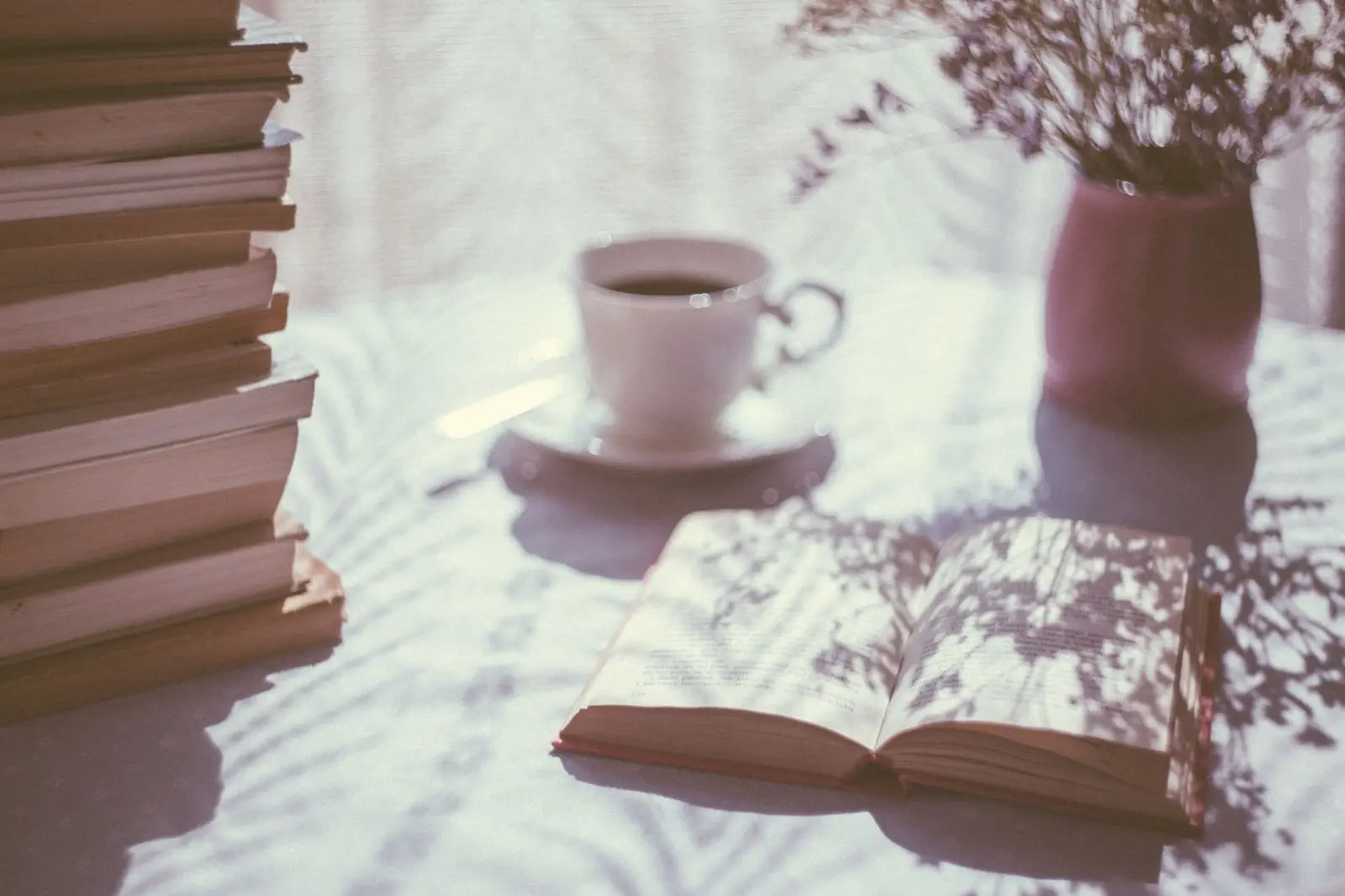 Recovery resources and plain-language guides